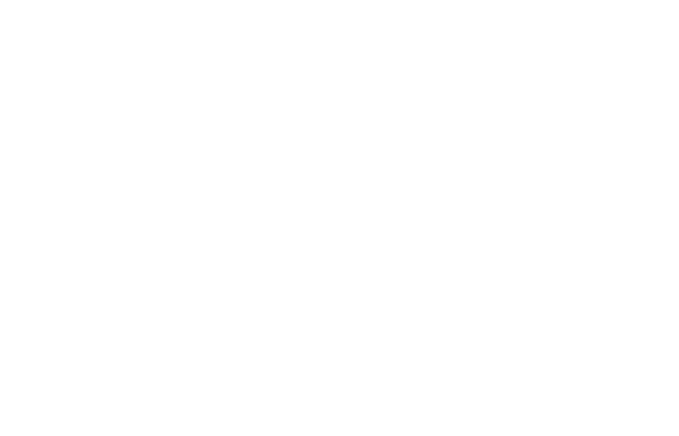 313 Medicals BV